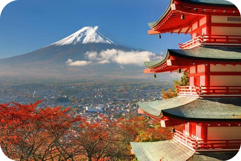 Japan Tour